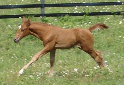 Ashirah-1 month (9)cr