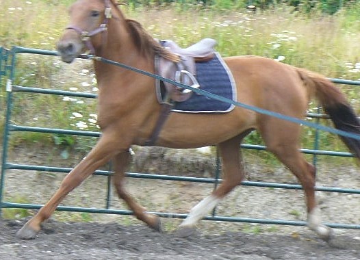 Latte July 21-07 (3) sized web