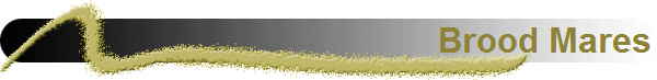 Brood Mares