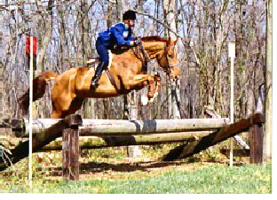 Drakenburg X Country Virginia